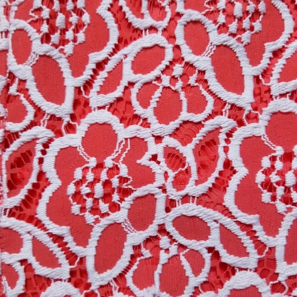 Eva Mendes Embroidered Floral Lace Dress - Picture 5 of 5